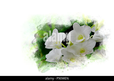 Abstract white flower blooming on colorful watercolor painting background and Digital illustration brush to art. Stock Photo