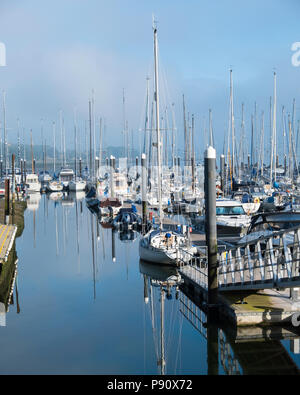Boats in Wolverstone Marina on the river Orwell in Suffolk. Stock Photo