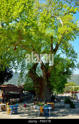 Bayir Bayir village, Marmaris, Mugla, Turkey - April 15, 2017. Main square in ...