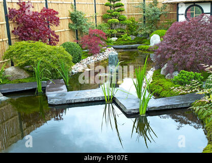 Traditional Japanese water garden with plants, shrubs, rocks, Tea House and stone bridge Stock Photo