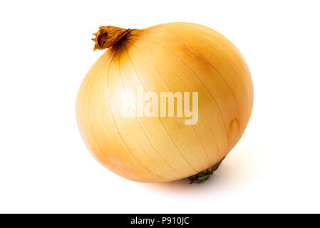 Single onion isolated on white background, clipping path included Stock Photo