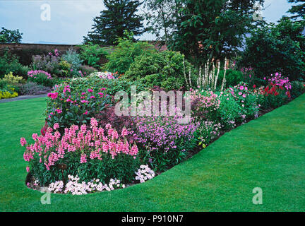 A large Pink flower border in a country garden Stock Photo