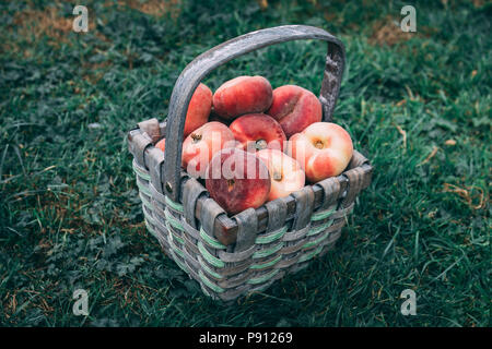 Straw basket full of donut peaches laying on the grass Stock Photo