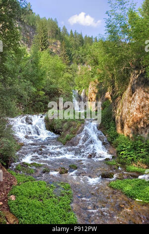 Roughlock Falls in Spearfish Canyon, Black Hills July 8th, 2008 Stock Photo