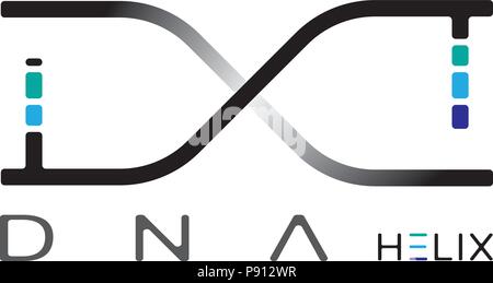 DNA Double Helix Molecule Illustration Stock Vector Image & Art - Alamy