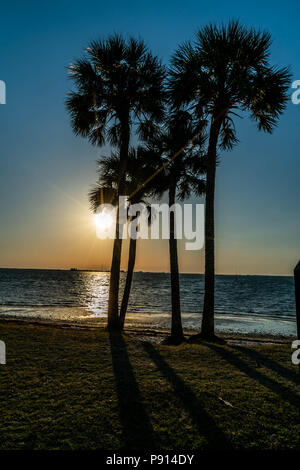 A beautiful day at Picnic Island park across the bay from St. Petersburg Florida. Stock Photo