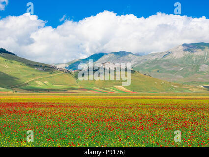 Castelluccio di Norcia, 2018 (Umbria, Italy) - The famous landscape flowering with many colors, in the highland of Sibillini Mountains, central Italy Stock Photo