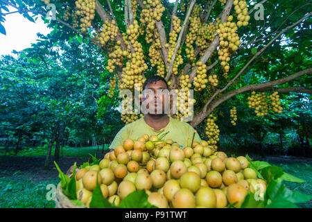 Krasnodarda orgazm massaji