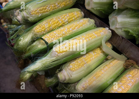 Fresh ear of corn close up background Stock Photo