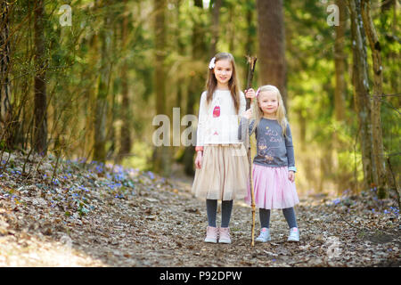 Adorable little girls picking the first flowers of spring in the woods on beautiful sunny spring day. Cute children having fun outdoors. Stock Photo