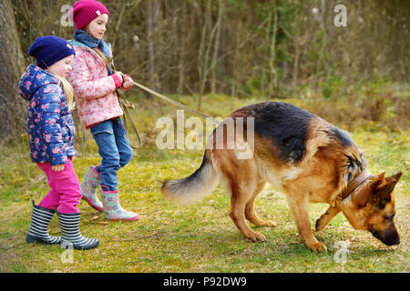 Two funny little sisters walking their german shepherd dog on a forest hike on beautiful spring day Stock Photo Alamy