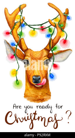 Christmas Deer Outline Images