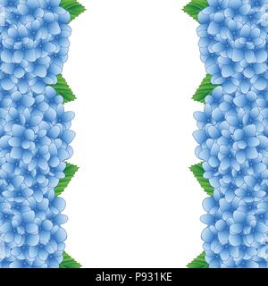 Blue Hydrangea Flower Border isolated on White Background. Vector Illustration. Stock Vector