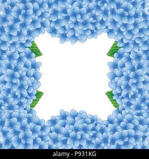 Blue Hydrangea Flower Border isolated on White Background. Vector Illustration. Stock Vector