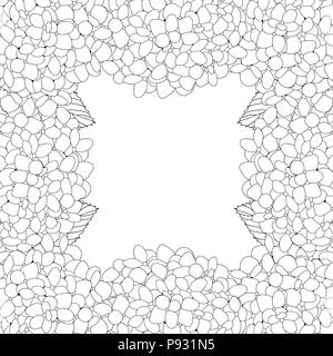 Hydrangea Flower Outline Border isolated on White Background. Vector Illustration. Stock Vector