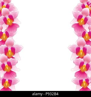 Pink Vanda Miss Joaquim Orchid Border isolated on White Background. Vector Illustration.  Singapore National Flower. Stock Vector