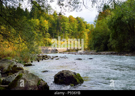 Picturesque blue river flowing through autumn forest in Berchtesgaden area, Bavaria, Germany. Stock Photo