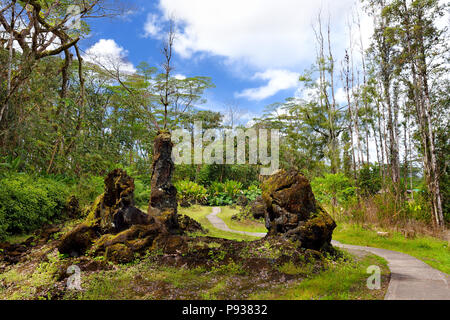 Lava molds of the tree trunks that were formed when a lava flow swept through a forested area in Lava Tree State Monument on the Big Island of Hawaii, Stock Photo