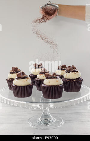 Chocolate and vanilla cup cakes Stock Photo