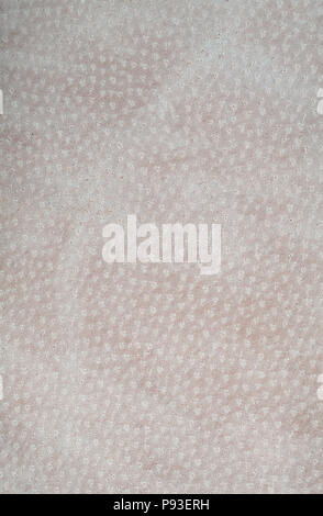 Light brown leather texture.  Vertical, close up Stock Photo