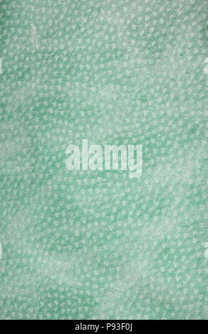 Green leather texture.  Vertical, close up Stock Photo