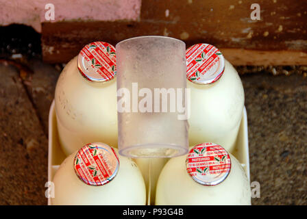 Special milk bottle tops with Christmas decoration, England Stock Photo