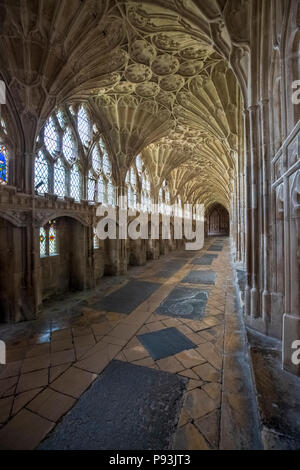 The cloisters at Gloucester Cathedral, Gloucester, England Stock Photo