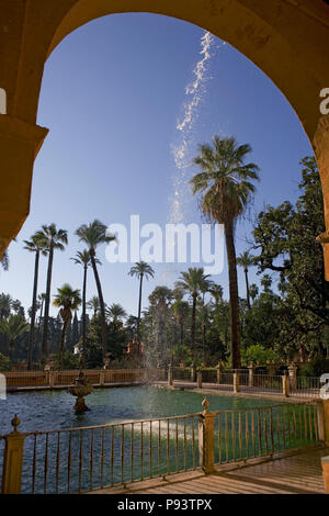 Estanque de Mercurio (Mercury's Pool) and Jardín de las Damas, Real Alcázar Gardens, Sevilla, Andalusia, Spain Stock Photo