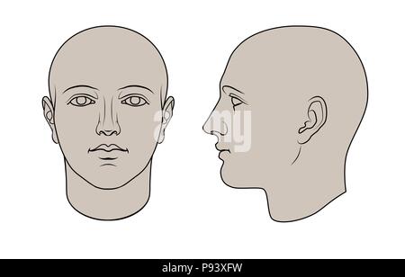 Hand drawn human head in face and profile. Colorable flat vector isolated on white background. The drawings can be used independently of each other. Stock Vector