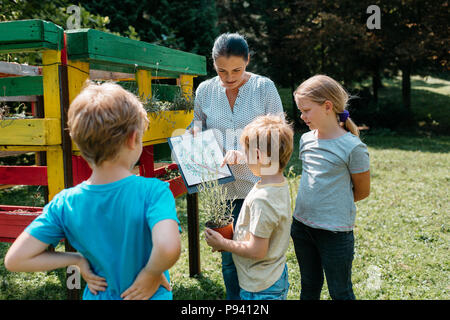 Teacher talking about plants with a small group of elementary students. Outdoor learning - children discussing with a teacher. Stock Photo