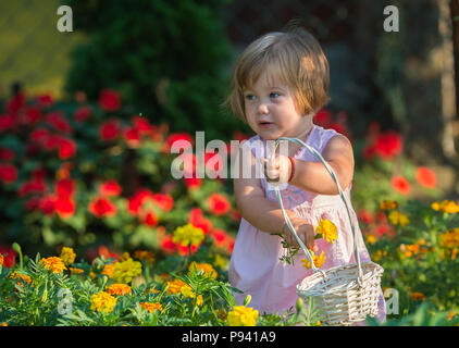 Beautiful baby girl picking flowers from the garden Stock Photo