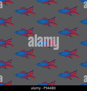 Colorful Siamese Fighting Fish on Gray Brown Background. Vector Illustration. Stock Vector