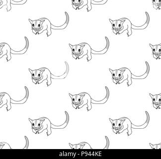 Cute Sugar Glider on White Background. Vector Illustration. Stock Vector