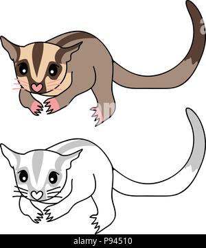 Cute Sugar Glider. Vector Illustration. isolated on White Background. Stock Vector