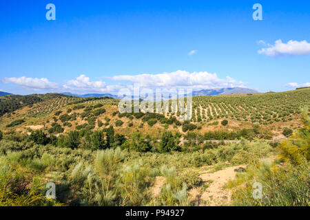 View of  the Parque Naturel de la sierra de Grazalema, Cadiz province, Spain Stock Photo