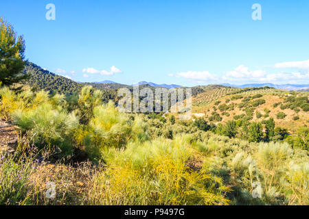 View of  the Parque Naturel de la sierra de Grazalema, Cadiz province, Spain Stock Photo