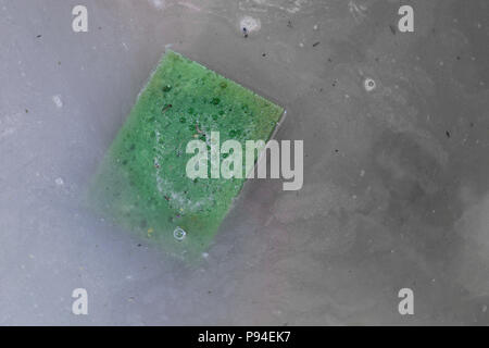 Green dirty sponge floating in dirty grey water Stock Photo