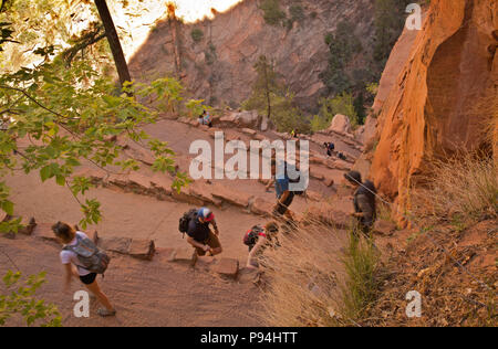 Hikers At Angels Landing Trail, Walters Wiggles Switchbacks Near Scout ...