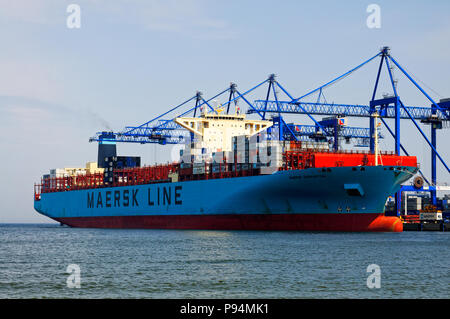 Maersk Edmonton container ship in DCT Gdańsk Port Stock Photo