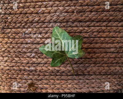 Detailed esparto fibers background Stock Photo