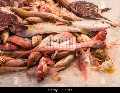 mixed fresh fish for the preparation of an exquisite sea soup Stock Photo