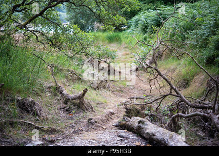 Dried stream at Injebreck reservoir on the Isle Of Man Stock Photo