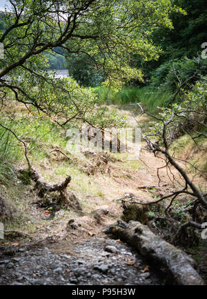 Dried stream at Injebreck reservoir on the Isle Of Man Stock Photo