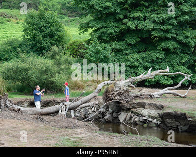 People playing on drought exposed tree at dried Injebreck reservoir Stock Photo
