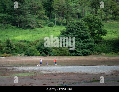 People walking dog at dried Injebreck reservoir Stock Photo