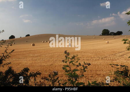 Round bales of hay in rural field in summer in England West Yorkshire, Britain UK Stock Photo