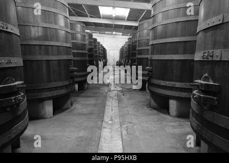 Wine casks at the L.A. Cetto vineyard in Baja California wine country (Valle de Guadalupe) Stock Photo