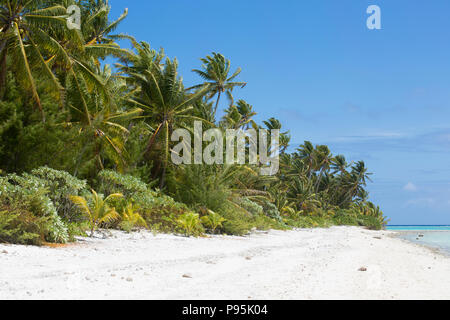 Beach on Palmerston Island, Cook Islands Stock Photo