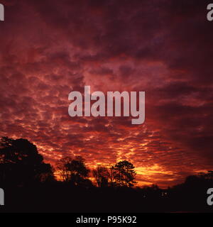 AJAXNETPHOTO. BURSLEDON, ENGLAND. - STRATOCUMULUS CLOUDS. - LOW LEVEL CLOUD AT SUNSET GATHERING OVER THE RIVER HAMBLE. PHOTO:JONATHAN EASTLAND REF:002701 18 Stock Photo