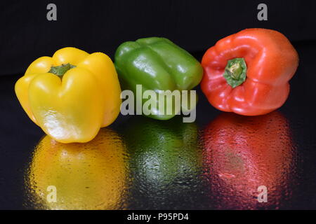 Yellow, Green and Red Bell Peppers isolated on black background. Stock Photo